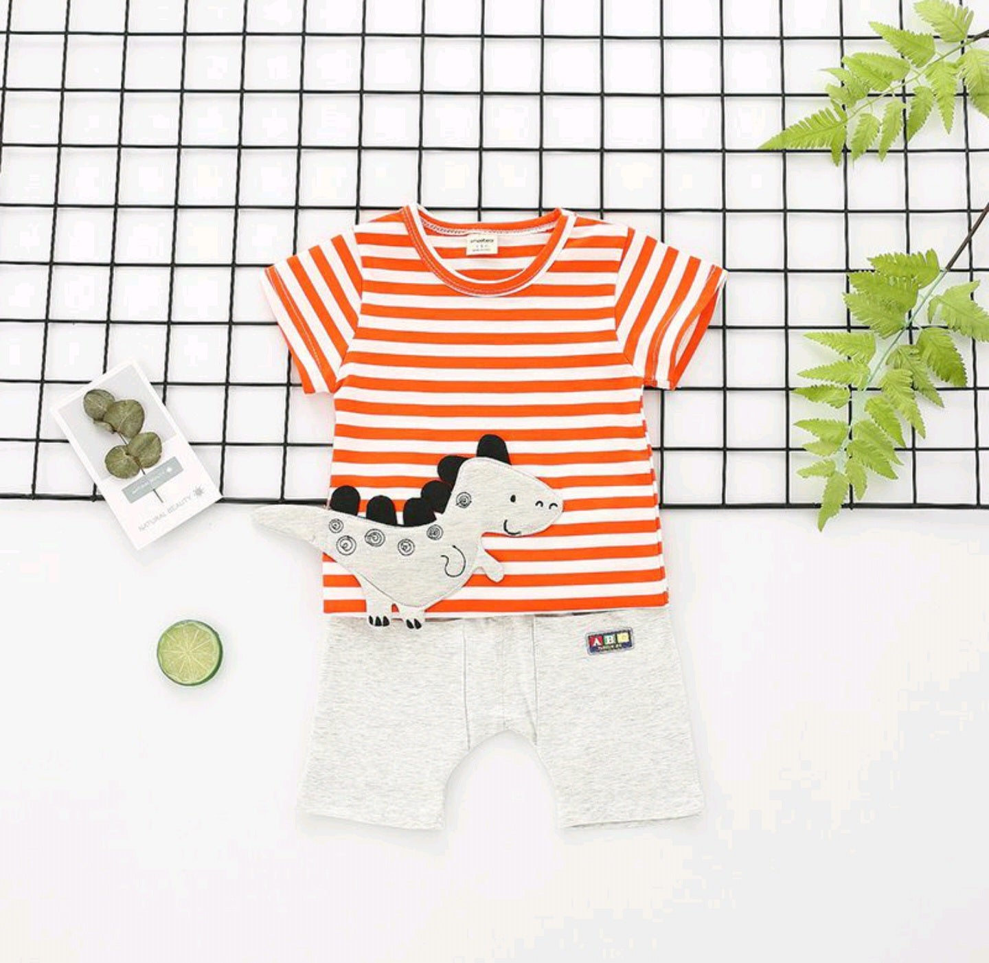 Boys Tees and shorts